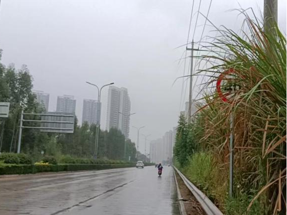 全力以赴戰(zhàn)寒潮，姜汁湯圓暖人心